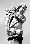 angelote decapitado